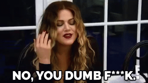 Agree To Disagree. "No, You Dumb F***k." GIF - Keeping Up With The Kardashians Kuwtk Khloe GIFs