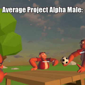 a cartoon monkey holding a soccer ball with the words average project alpha male above it
