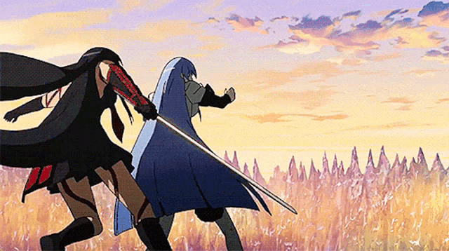 two anime characters are fighting with swords in a field