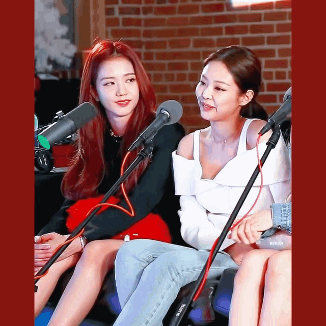 two women are sitting in front of microphones and one of the microphones says rode