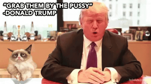 Grab Them By The Pussy GIF - Pussy Donald Trump Grab GIFs