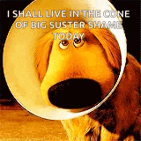 a dog is wearing a cone around its neck and says `` i shall live in the cone of big suster shame today ''