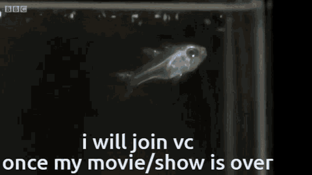 a fish in a tank with the words i will join vc once my movie / show is over on the bottom