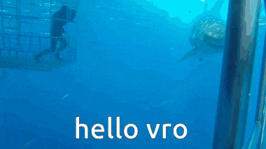 a picture of a shark with the words hello vro written below it
