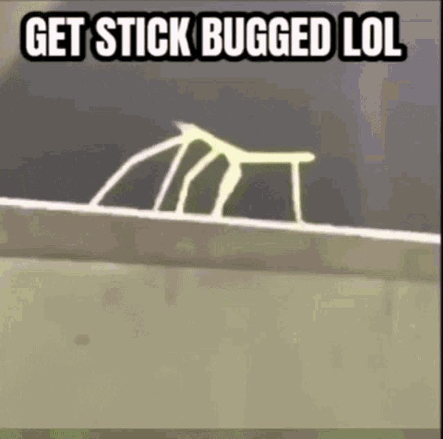 Get Bugged GIF - Get Bugged Stick GIFs