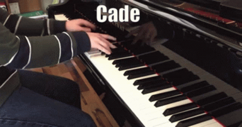 Cade Piano GIF - Cade Piano GIFs