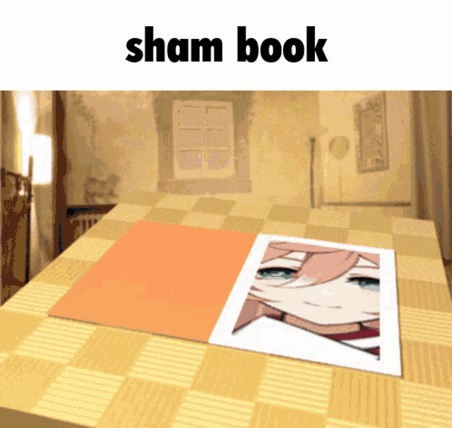 a book with a picture of a girl on the cover is titled sham book