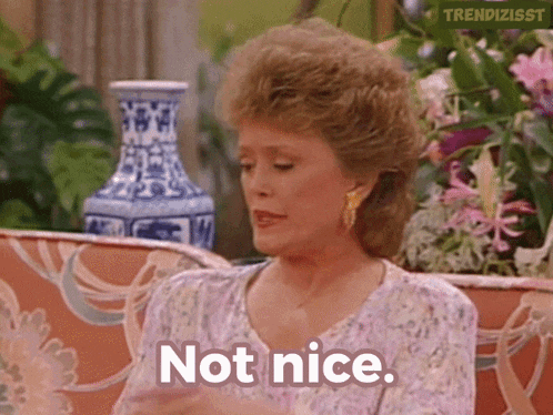 a woman sitting on a couch with a vase in the background says not nice