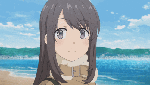 a girl with long brown hair is standing on a beach near the ocean