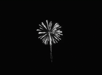 Fireworks Explosion GIF - Fireworks Explosion Show GIFs