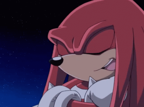 Knuckles Rouge Anime Knuckles The Echidna GIF - Knuckles Rouge Anime Knuckles The Echidna Rouge The Bat GIFs