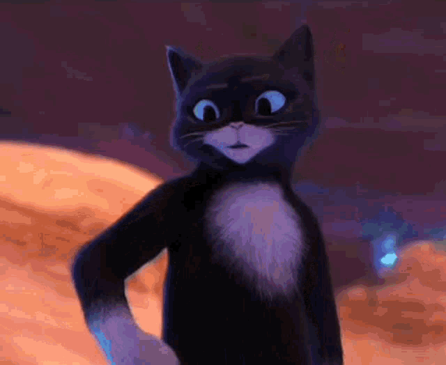 a black and white cat with big eyes is standing in front of a purple sky