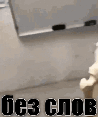 a picture of a cat with the words " без слов " written on it