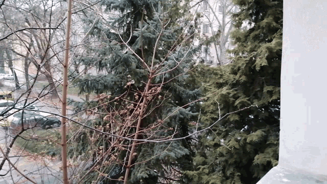 a tree with a lot of branches without leaves is in front of a building
