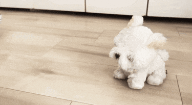 a stuffed animal is standing next to a stuffed seal on the floor