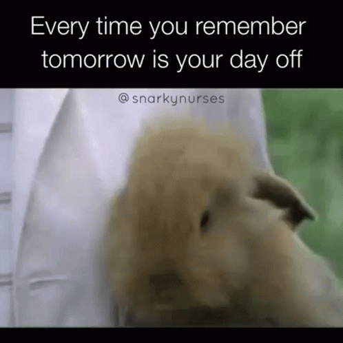 Day Off Work GIF - Day Off Work Relatable GIFs