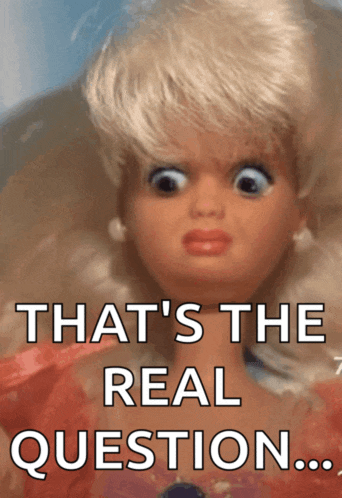 a picture of a barbie doll with the words that 's the real question