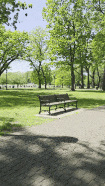 a park with trees and a bench in the middle of it