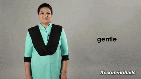 Gentle Pakistan GIF - Gentle Pakistan Pakistan Sign Language GIFs