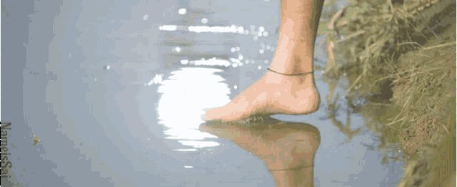 a person 's foot is standing in a body of water and the word neutral is on the bottom right