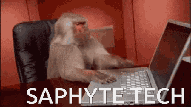 Saphyte Tech Noob GIF - Saphyte Tech Noob Monkeya GIFs