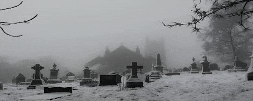 a cemetery with a church in the background
