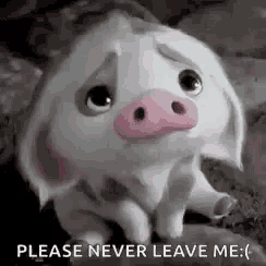 a sad pig with a pink nose is sitting on the ground and asking to be left alone .
