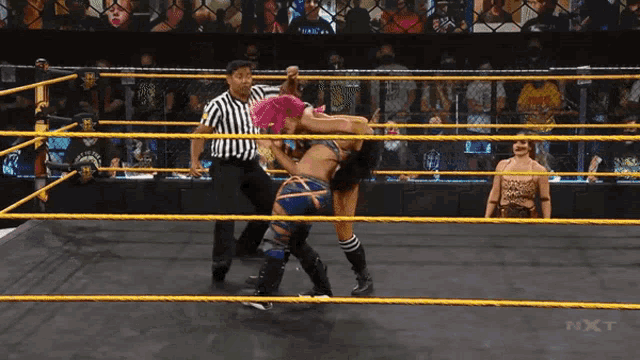 two women are wrestling in a ring with the word nxt on the bottom of the ring