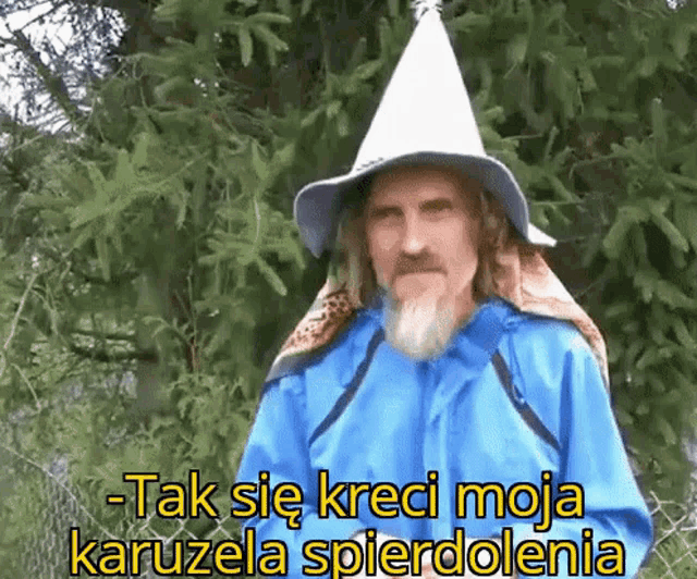 a man with a beard wearing a blue jacket and a white wizard hat