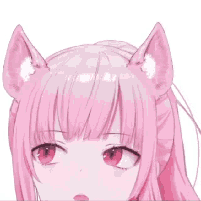 a pink haired anime girl with cat ears and red eyes