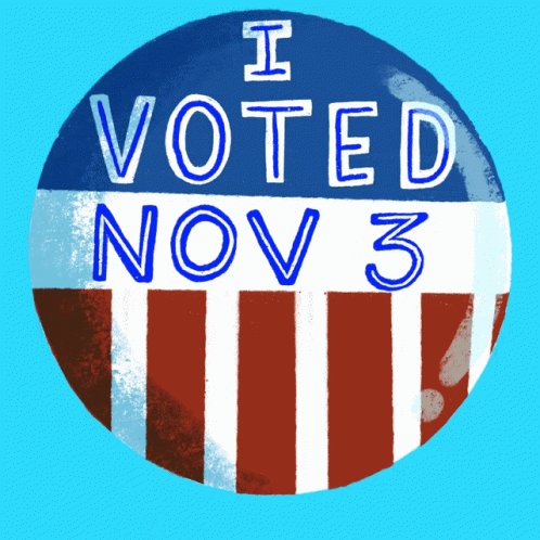 I Voted Nov3 GIF - I Voted Nov3 November3 GIFs