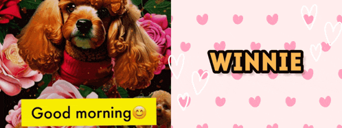 a picture of a dog with the name winnie