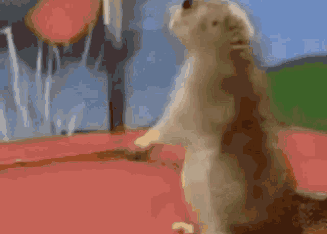 Hamster Turn Back GIF - Hamster Turn Back Zoom In GIFs
