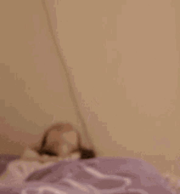 a young woman is sitting on a bed with a purple blanket and a hoodie on .