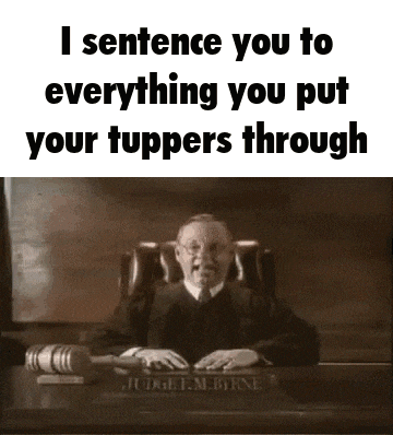 a judge is sitting at a desk with a gavel and says i sentence you to everything you put your toppers through