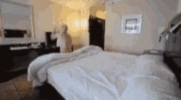 a blurry picture of a hotel room with a bed and a statue in the background .