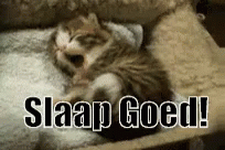 Slaap Le GIF - Slaap Goed Moe Bed GIFs