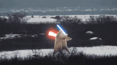 Star Wars Animals GIF - Star Wars Animals Lightsaber GIFs