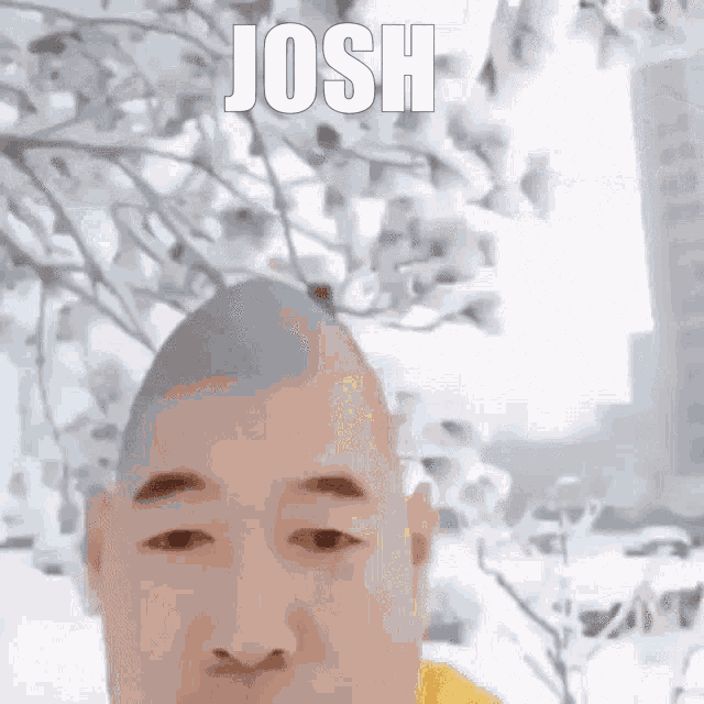 Josh GIF - Josh GIFs