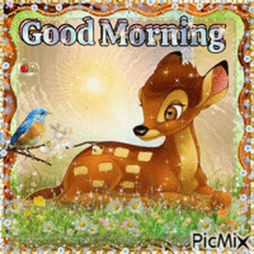 Goodmorning GIF - Goodmorning Good Morning GIFs