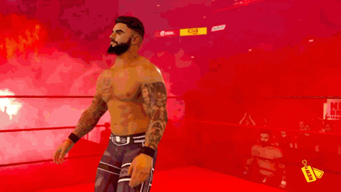a wrestler is standing in a ring with fire coming out of it