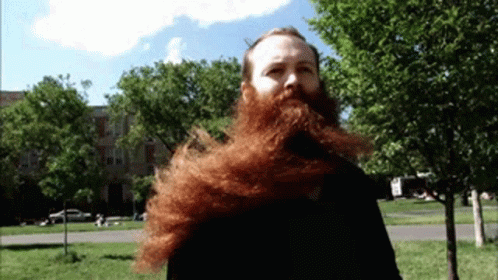 Fantastic Beard Windy GIF - Fantastic Beard Windy Big Beard GIFs