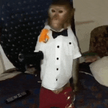 a monkey dressed in a tuxedo and bow tie is standing on a bed .