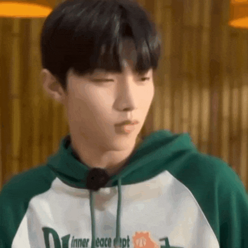 a young man wearing a green and white hoodie is looking at the camera with his eyes closed .