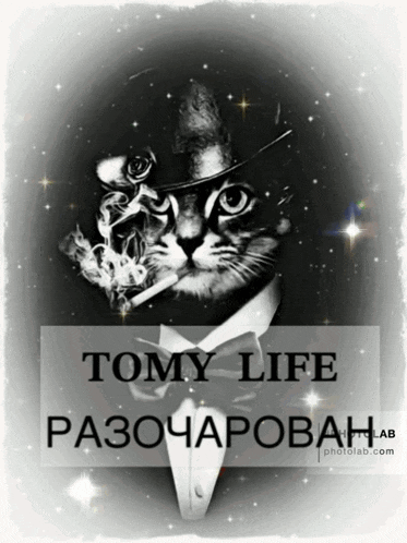 a black and white photo of a cat wearing a tuxedo and smoking a cigarette with the words tomy life written below it