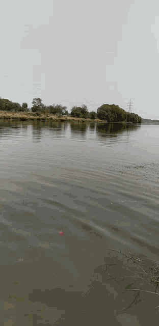 a large body of water surrounded by trees and a power line