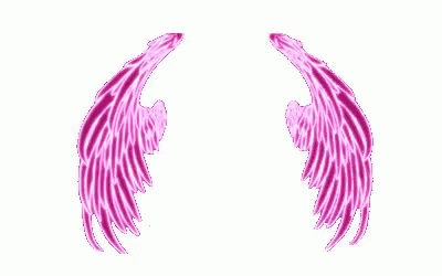 Wing Flying GIF - Wing Flying Pink GIFs