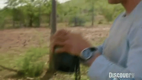 Bear Grylls Drinks His Own Urine GIF - Bear Grylls Gross GIFs