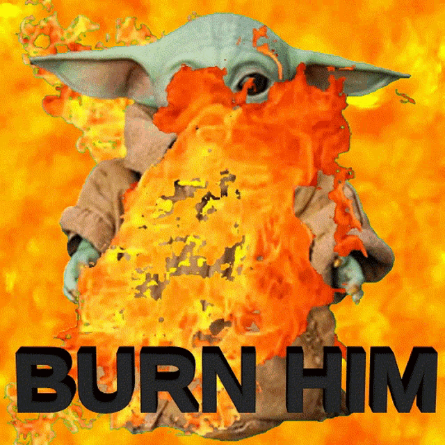 Babay Yoda GIF - Babay Yoda Burn Him GIFs
