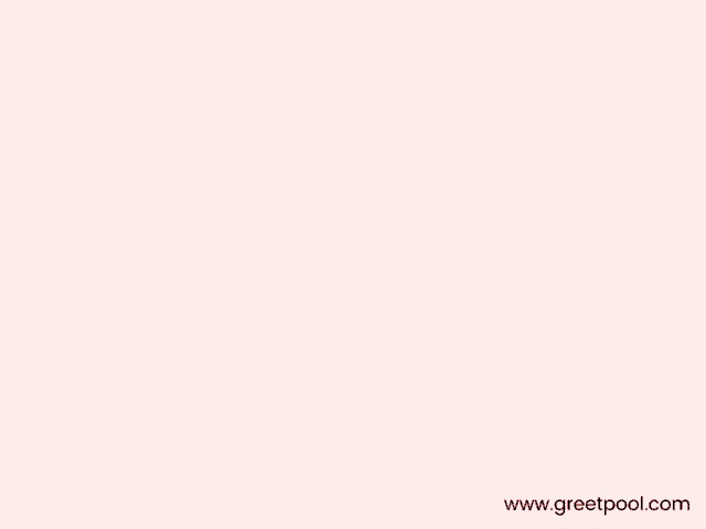 congratulations so proud of you written on a pink background